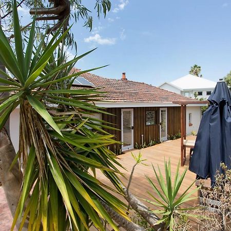 Dingo At White Gum Lodge Fremantle Exterior foto